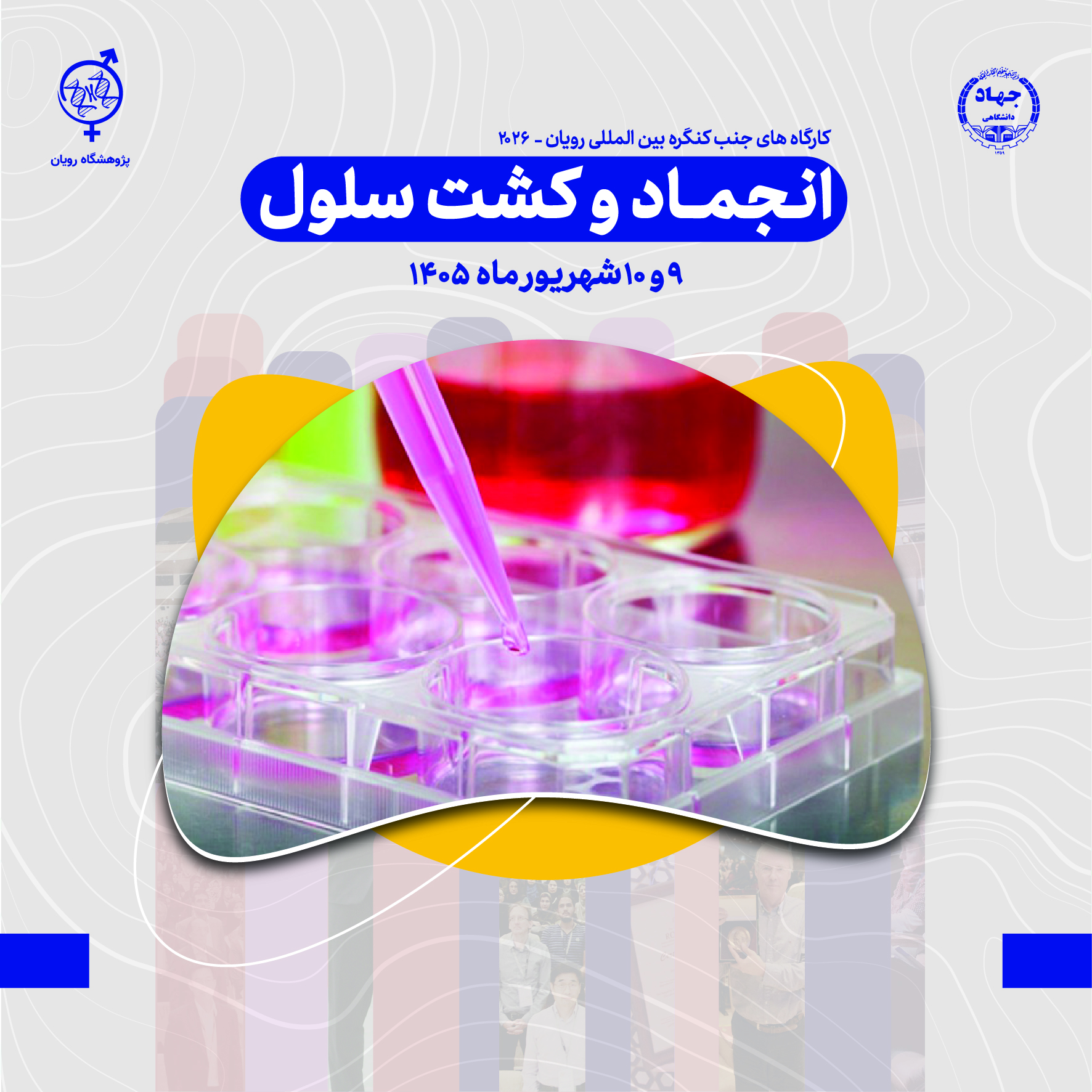 نام دوره